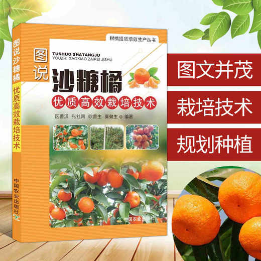 图说砂糖桔优质高效栽培技术管理 商品图0