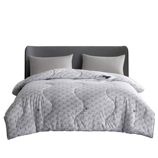 博洋家纺 BEYOND 若蓝暖芯被 200*230cm 商品图0
