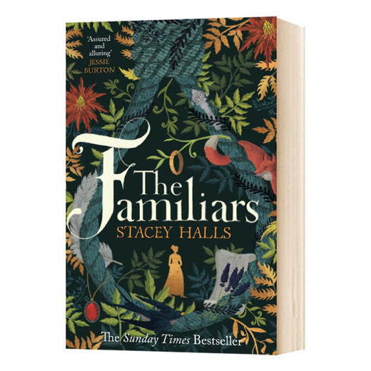 习俗 英文原版小说 The Familiars 密友 斯塔塞霍尔斯 Stacey Halls 英文版进口原版英语书籍 商品图0