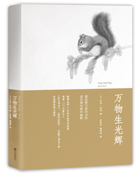 【心如健】正版包邮 万物生光辉 吉米哈利著 有灵且美系列温暖欢乐无处不幽默的动物故事外国文学长篇人与自然生命爱与欢笑