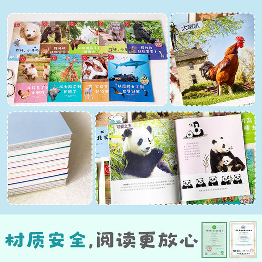 动物真有趣（共9册）动物科普百科图画书 小北极熊 商品图11