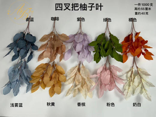 4叉把柚子叶（运费自理） 商品图0