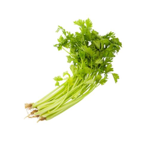 小芹菜 约500g  【BC】【XZ】 商品图0