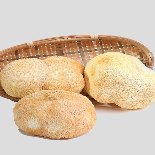 【登真缘】猴头菇100g/罐 商品图1