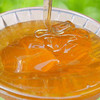 【狼牙牌】土蜂蜜500克/瓶 商品缩略图3