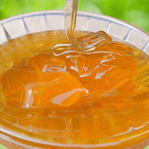 【狼牙牌】土蜂蜜500克/瓶 商品图3
