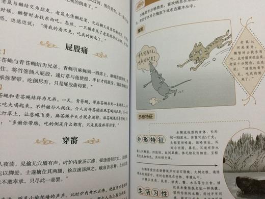 【心如健】正版包邮 图解笑林广记(全方位图解美绘版) 中国古代一部真正的笑话大全 笑林广记全本 中国古代的人间百态 国学经典畅销书籍JMT 商品图3