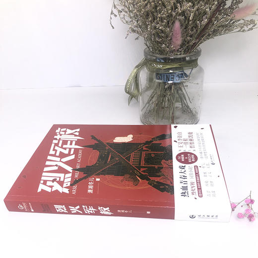 【心如健】烈火军校实体书 潇湘冬儿著电视剧原著小说白鹿许凯主演青春励志剧言情作家潇湘冬儿扛鼎新作致青春和成长点燃烈火青春 商品图1