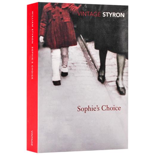 苏菲的选择 英文原版 Sophie's Choice 英文版 进口英语书籍 商品图1