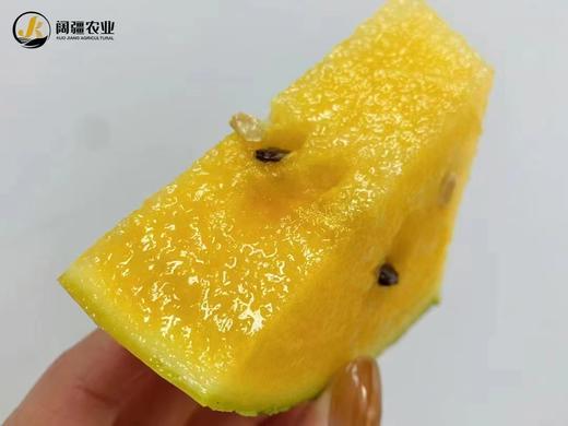 网红冰激凌黄肉西瓜 黄瓤西瓜    入口酥脆细腻多汁 商品图4