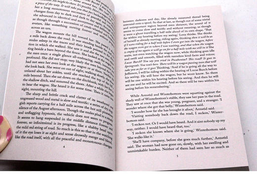 八月之光 英文原版 文学小说 Light In August 英文版原版书籍 正版进口英语书 福克纳作品 Vintage Classics 商品图2