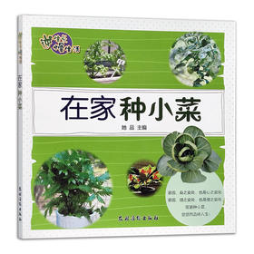 【中国农业出版社官方正版】在家种小菜 9787504855367 蔬菜 青菜 阳台种菜 种菜 小菜 家庭 庭院