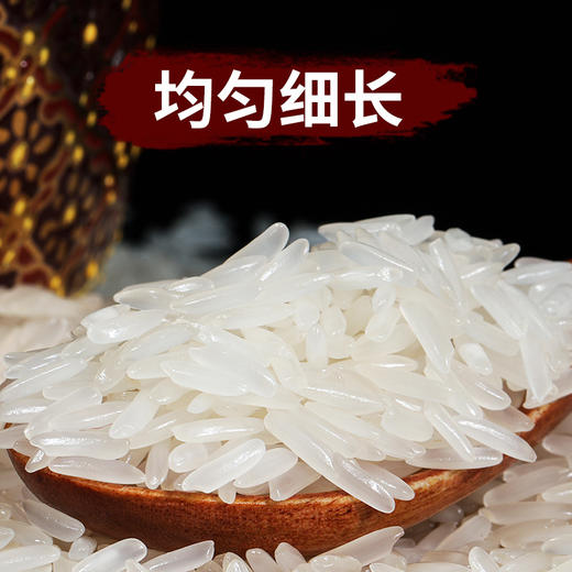 5斤装香米真空包装茉莉香稻米新米长粒米2500g 商品图3
