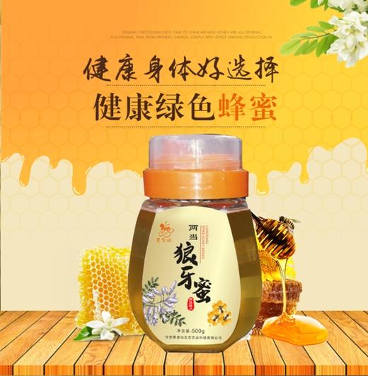【灵官峡】瓶装狼牙蜜500克/瓶 商品图1