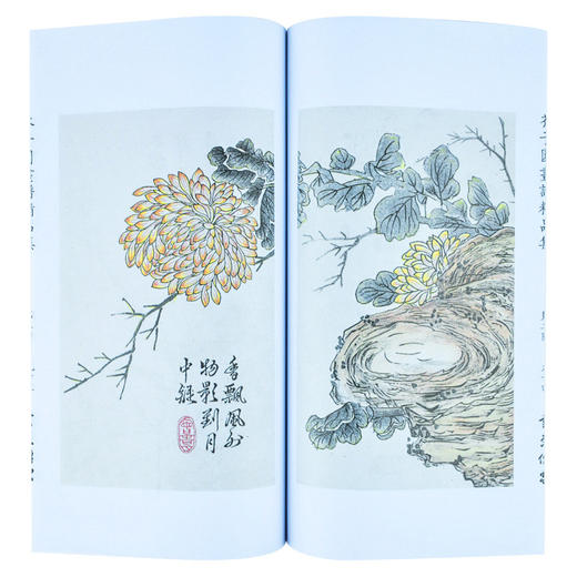 崇贤馆藏书 新书香传家《芥子园画谱精品集》（一函二册） 商品图2