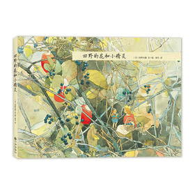 【正版】安野光雅一田野的花和小精灵（精装） 3-6-12岁幼儿科普知识读物 启蒙认知早教绘本睡前故事书 亲子读物画册漫画书热销书籍