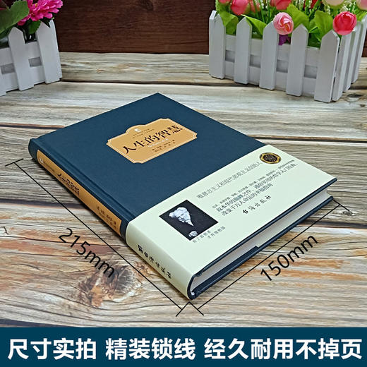 【正版】人生的智慧 叔本华 人生哲学智慧美学 韦启昌推荐 叔本华经典书籍 唯意志主义西方哲学经典名著哲学西方百年学术经典 商品图2