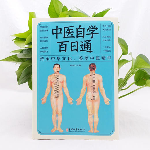 【心如健】中医自学百日通 一百天学会 医食同源药食同济中医基础理论中医诊断全书 商品图2