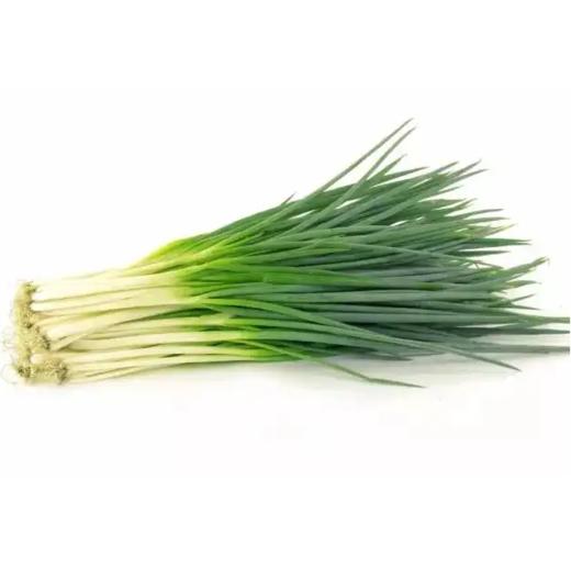 小葱 约100g  【BC】【XZ】 商品图0