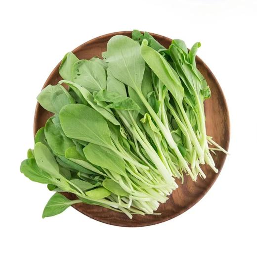 新鲜鸡毛菜 约500g±50g   【BC】【XZ】 商品图1