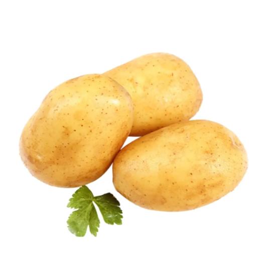 土豆 约500g  【BC】【XZ】 商品图0