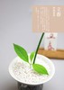 【中国农业出版社官方正版】跟着节气来种菜 节气 种菜 二十四节气 菜 日子 节气 商品缩略图1