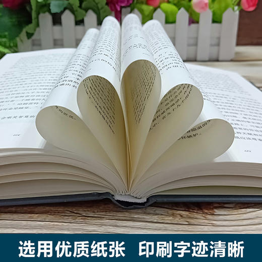 【正版】人生的智慧 叔本华 人生哲学智慧美学 韦启昌推荐 叔本华经典书籍 唯意志主义西方哲学经典名著哲学西方百年学术经典 商品图4