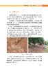图说脐橙优质高效栽培技术 【中国农业出版社官方正版】 商品缩略图3