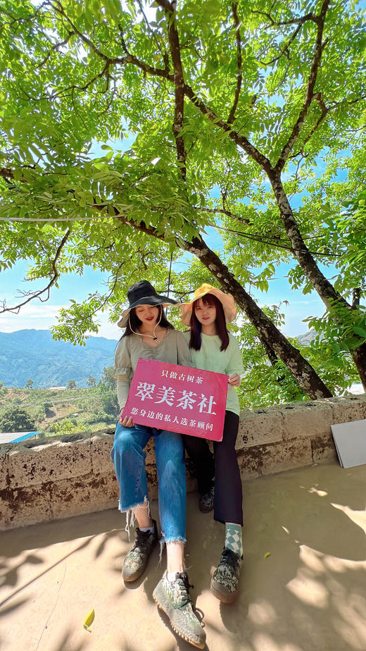 2022年【冰岛地界】头春  高锐野果香甜，悠扬冰糖韵 商品图3