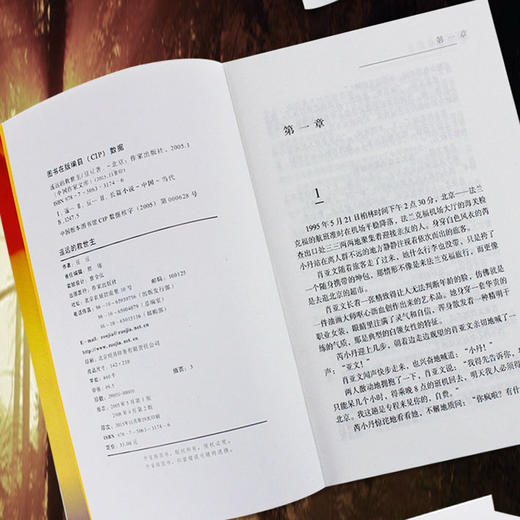 【心如健】遥远的救世主 正版书原著豆豆全套未删减版热播电视剧《天道》原著畅销中国现当代经典文学名著 一部长篇小说 之后作天幕红尘小说 商品图3