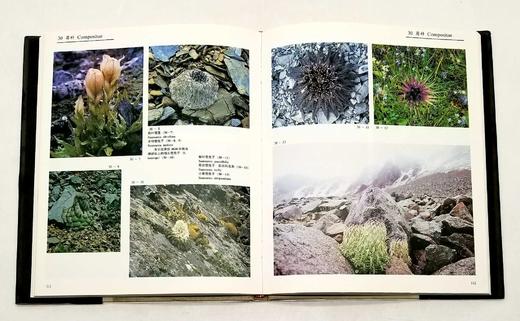 《中国云南横断山野生花卉》，精装，8开，铜版彩印，方震东著，云南人民出版社1993年版，204页，定价350，售价188元。仅10册。品相9成。

本册选载中国横断山区野生花卉 419 商品图14