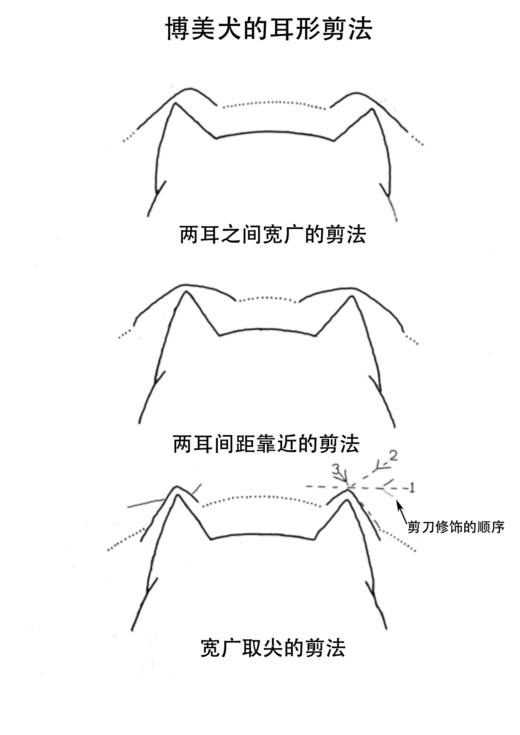 星测试 商品图0