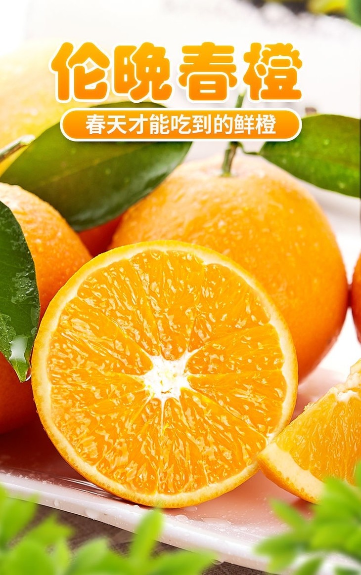 湖北秭归伦晚脐橙橙子手剥橙现摘现发应季水果9斤伦晚一件代发