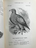 1843年 亚雷尔 英国鸟类史（卷1） 约170幅木版画插图 漆布精装18开 商品缩略图13