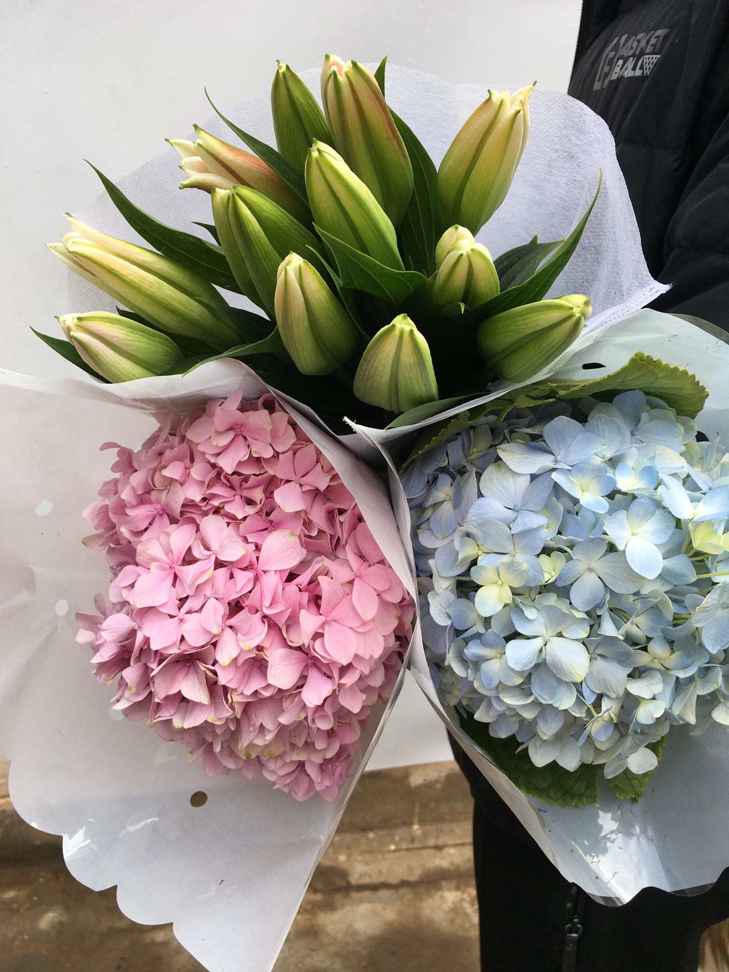 【随机单头百合1扎 随机绣球2枝】冷链包邮 - 拉芙鲜花