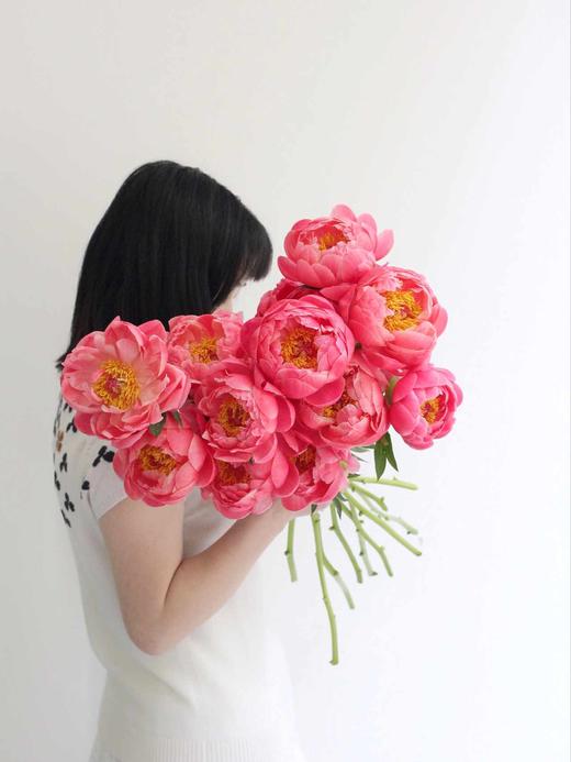 【落日珊瑚芍药】5支/份 买2份减10元 长约45-50cm 商品图9