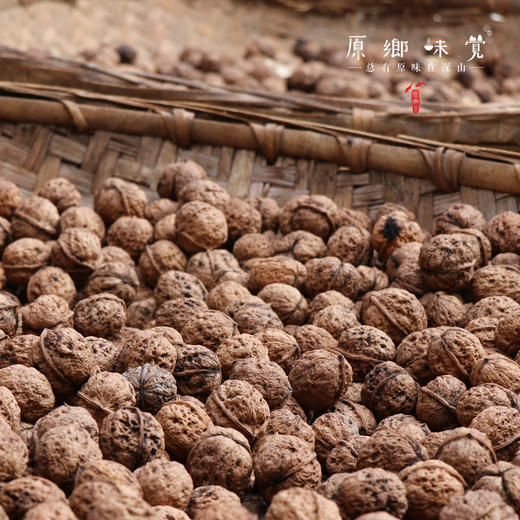 野生铁核桃油/生态橄榄油（成都仓库-顺丰快递）| 500ml/瓶，来自丽江纳西族古村落，生产者：当地村民【合作生产，公平贸易】 商品图7