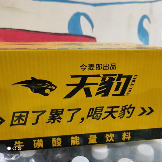 今麦郎 天豹  480ml*15 商品图0