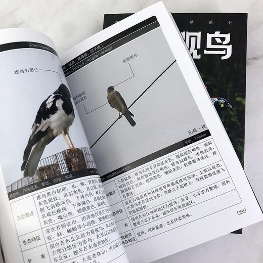 亲近大自然系列--野外观鸟手册（第二版）-分销 商品图6