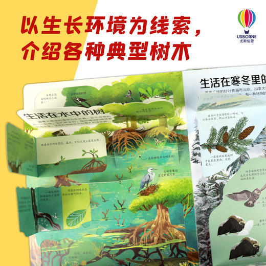 揭秘树木 商品图2