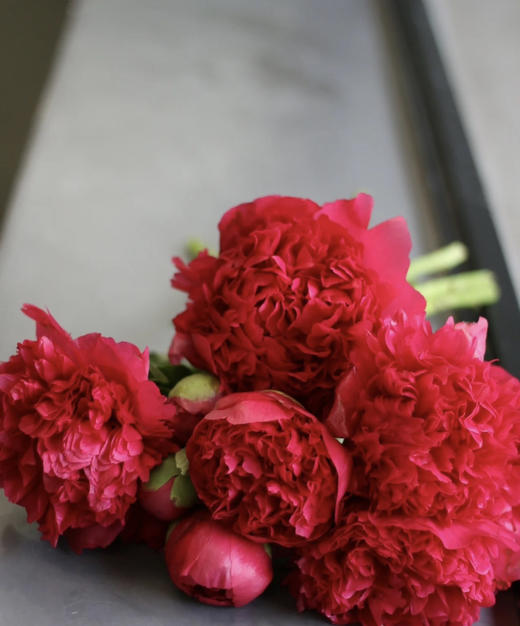 【自由热烈】芍药 -御前表演  5枝（会变色） 商品图4