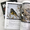 亲近大自然系列--野外观鸟手册（第二版）-分销 商品缩略图9