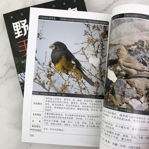 亲近大自然系列--野外观鸟手册（第二版）-分销 商品图9