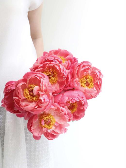 【落日珊瑚芍药】5支/份 买2份减10元 长约45-50cm 商品图8