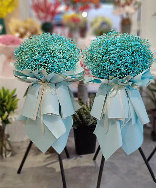 开业乔迁庆典满天星花篮6选1含配送 商品图5