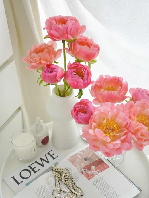 【落日珊瑚芍药】5支/份 买2份减10元 长约45-50cm 商品图10