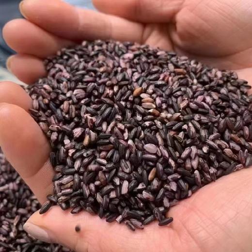 鸭血糯米（净重:2斤） 商品图0