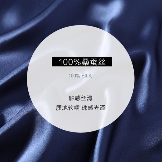 金三塔真丝睡衣男士短袖夏季100%桑蚕丝纯色绣花短袖衣裤套家居服  YSMAB401（限价款） 商品图4