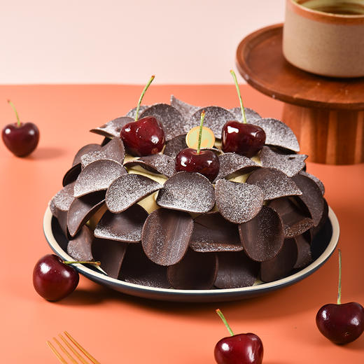 6#暮光森林 商品图0