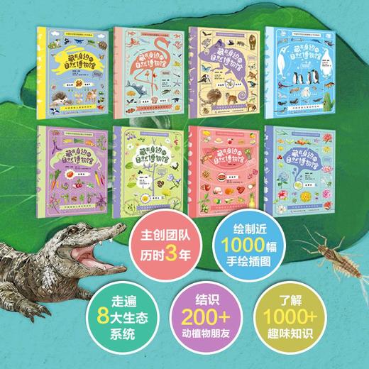 藏在身边的自然博物馆 商品图4